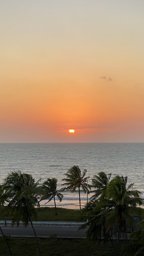 有关假期, 垂直拍摄, 多风的免费素材图片