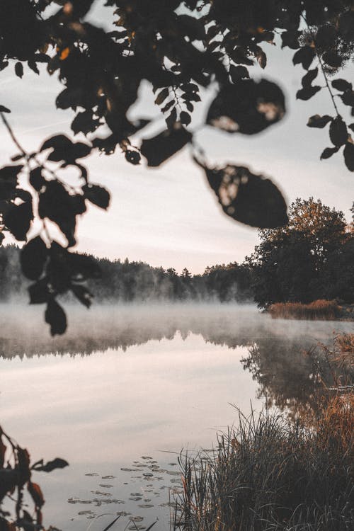 有关反射, 垂直拍摄, 天性的免费素材图片