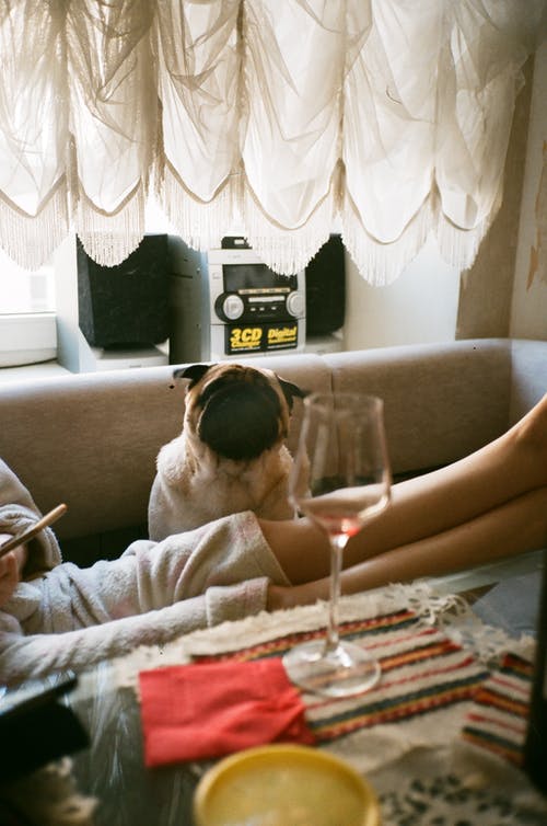 有关3C用品, 上网, 不露面的免费素材图片