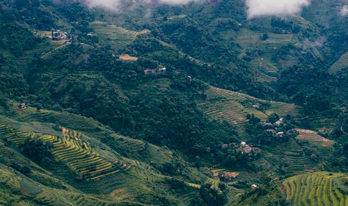 有关健康, 传统, 冷静的免费素材图片