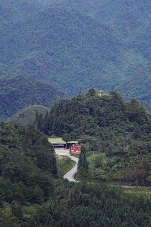 有关佩服, 冷静, 原本的免费素材图片