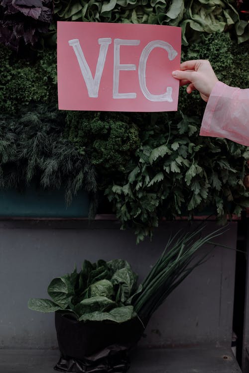 文本 · 免费素材图片