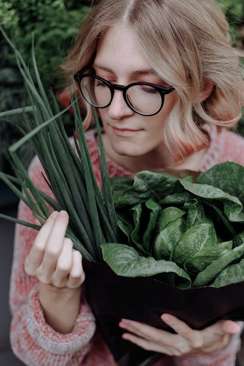 黑色的眼镜，拿着绿色的树叶的女人 · 免费素材图片