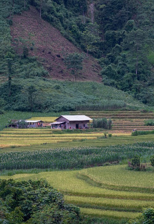 有关住, 住宅, 佩服的免费素材图片