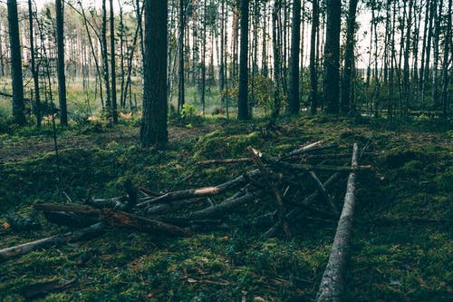 有关不变, 不均匀的, 不规则的免费素材图片