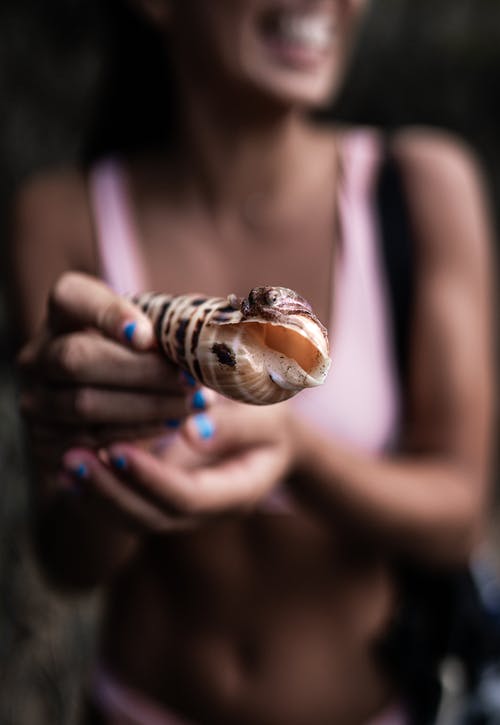 匿名合适的女士在海滩上展示螺旋钻壳 · 免费素材图片