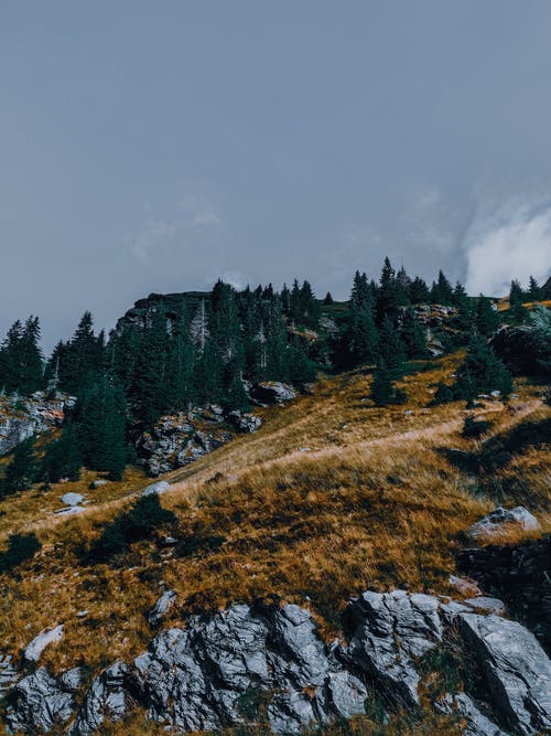 有关乾的, 冒险, 冷静的免费素材图片