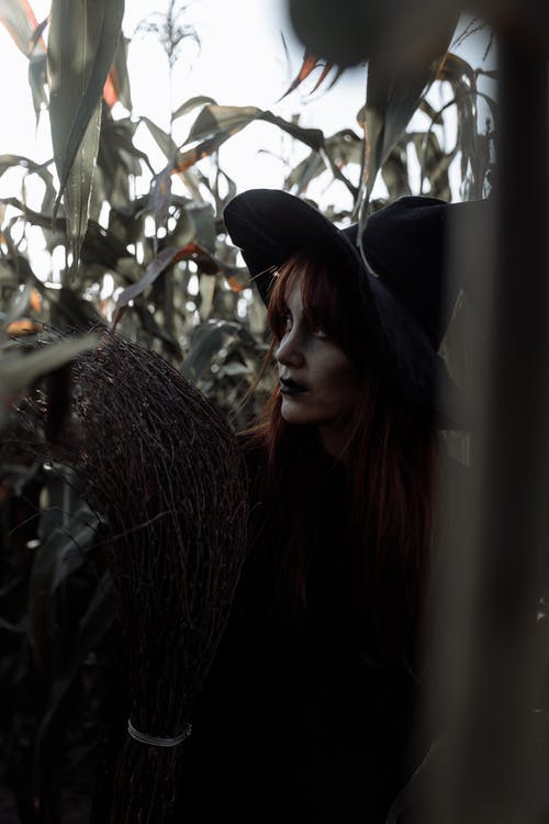 玉米田里的女巫 · 免费素材图片