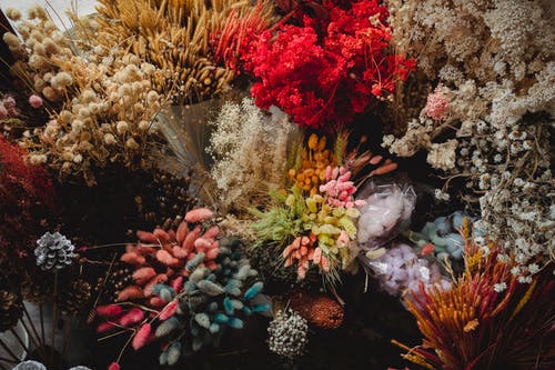 市场上的各种鲜花花束 · 免费素材图片