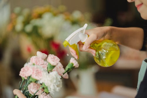 作物在店里喷花的女人 · 免费素材图片