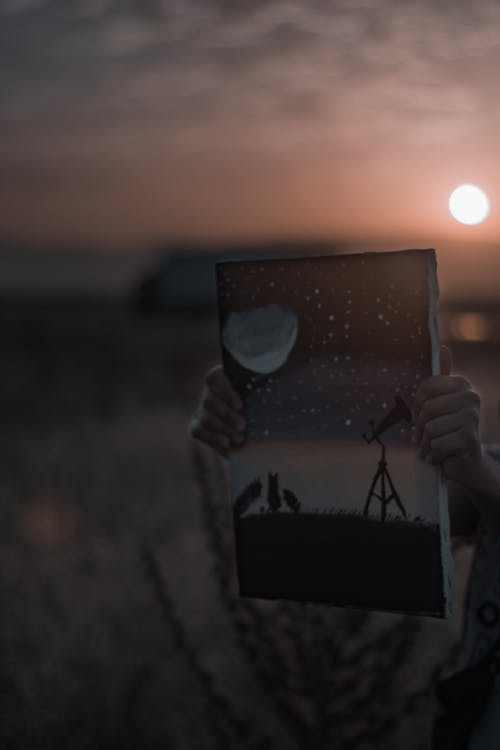 有关光, 图片, 太阳的免费素材图片