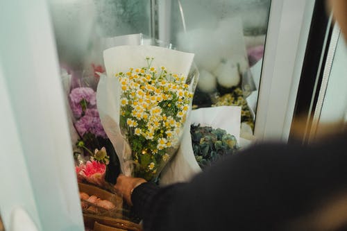 在店里种花的作物女人 · 免费素材图片