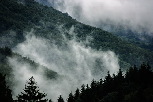 有关冷静, 原本, 和平的的免费素材图片