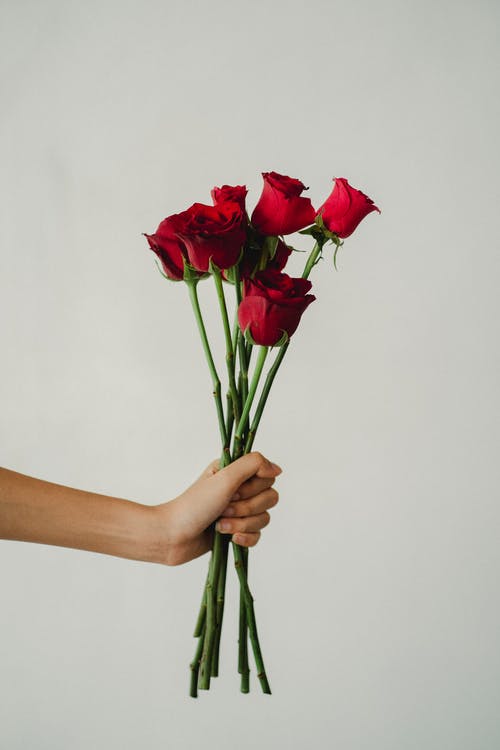 裁剪不露面的女人，拿着束红玫瑰 · 免费素材图片