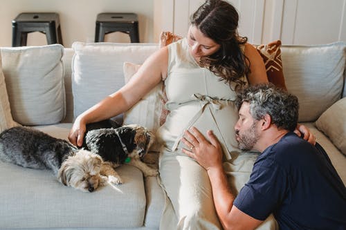 幸福的怀孕夫妇，在沙发上的狗 · 免费素材图片