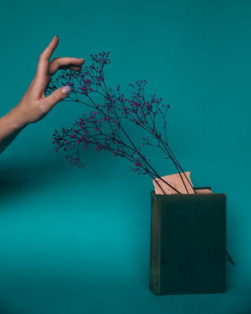 匿名的女人接触盛开的树枝放在书中 · 免费素材图片