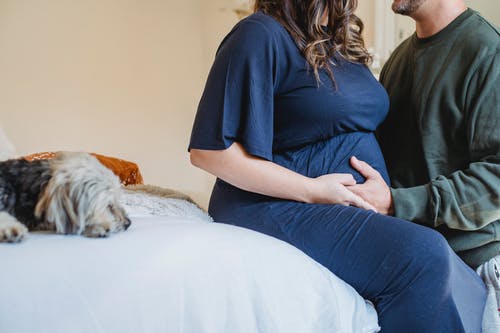 在室内在狗附近的作物丈夫爱抚怀孕妻子的肚子 · 免费素材图片