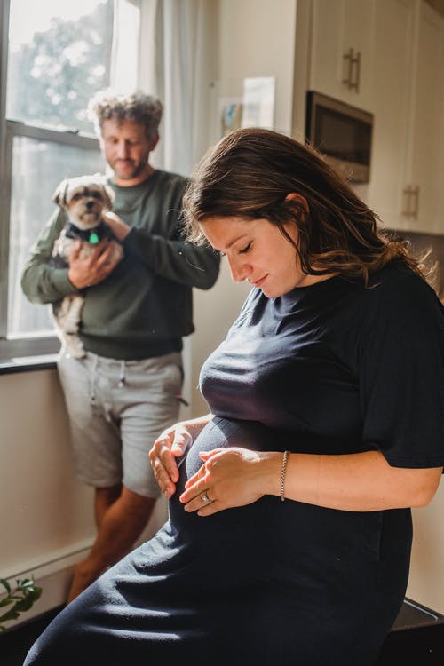 怀孕的女性，对有狗的冷静的人 · 免费素材图片