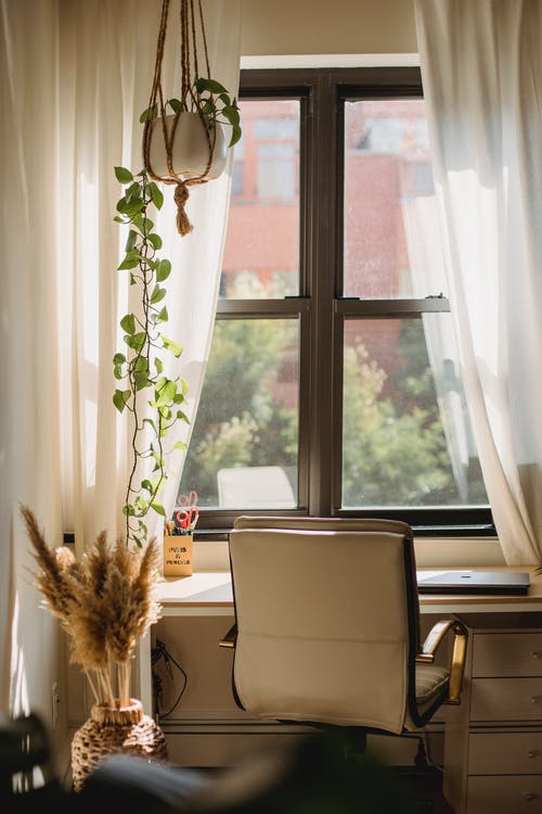 室内有家具和阳光下的攀援植物 · 免费素材图片