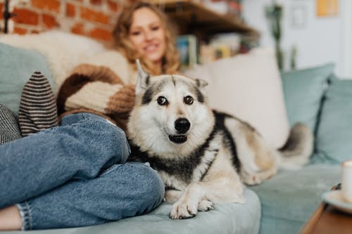 有关在家, 坐, 垂直拍摄的免费素材图片