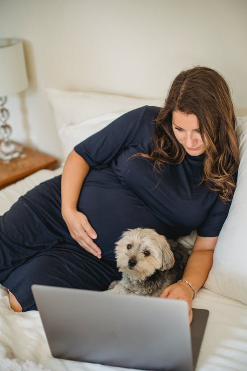 有狗观看的膝上型计算机的孕妇在床上 · 免费素材图片