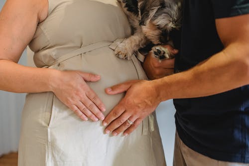 站立与人和狗在房间里的匿名孕妇 · 免费素材图片