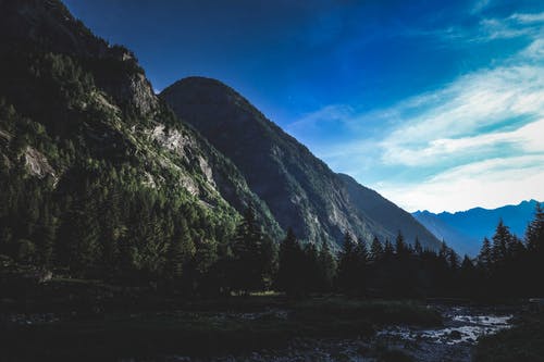 有关冷静, 华丽的, 和平的免费素材图片