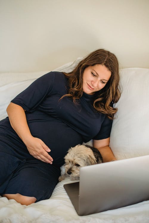有看狗的膝上型计算机的微笑的孕妇在舒适床上 · 免费素材图片