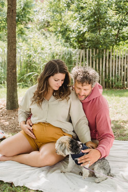 怀孕的妻子和丈夫抚摸狗的性质 · 免费素材图片