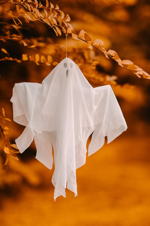 装饰鬼挂在树枝上 · 免费素材图片