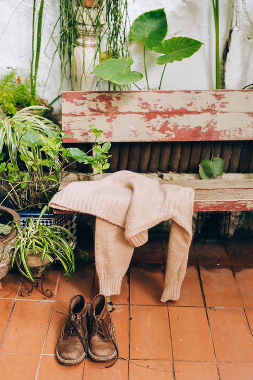 棕色的木凳上绿色的盆栽的植物 · 免费素材图片