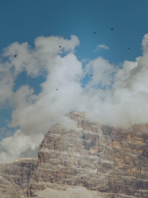 在山附近的天空中飞翔的鸟 · 免费素材图片
