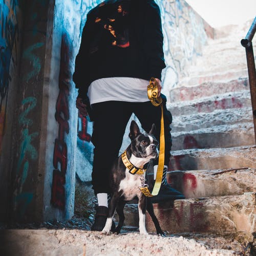 有关不露面, 人, 从下面的免费素材图片