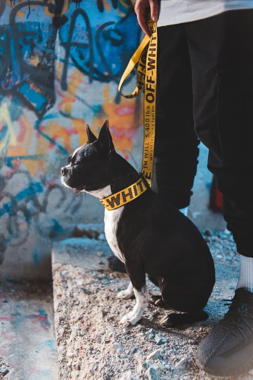 有关不露面, 人, 侧面图的免费素材图片