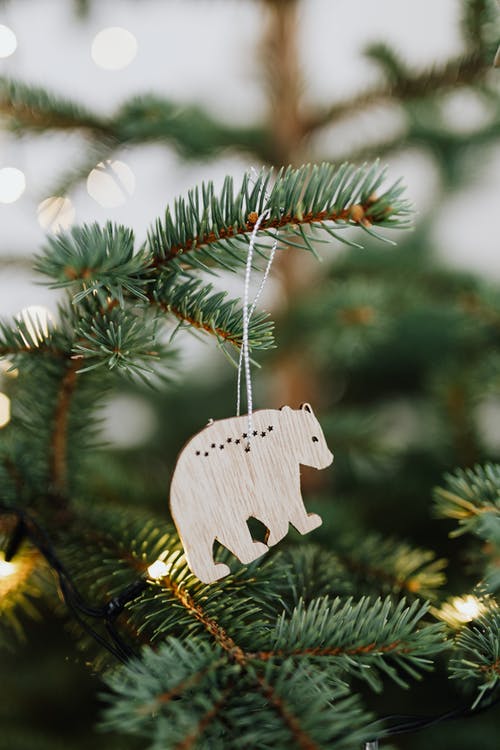 有关垂直拍摄, 景深, 特写的免费素材图片