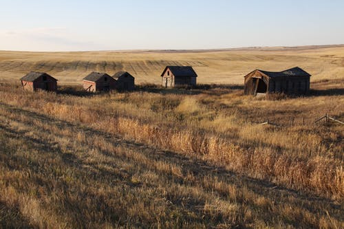 有关失修的, 小屋, 户外的免费素材图片