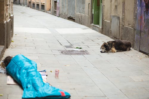 无家可归的人与狗在大街上睡觉 · 免费素材图片