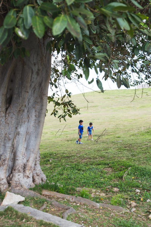 不可识别的男孩在夏天在草地山坡上玩 · 免费素材图片
