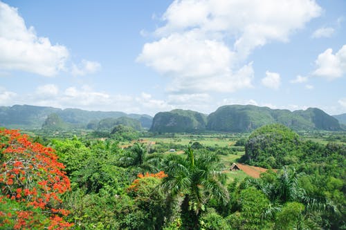 郁郁葱葱的山谷风景 · 免费素材图片