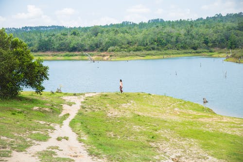 无法认出的游客正在考虑夏天的乡村河流 · 免费素材图片