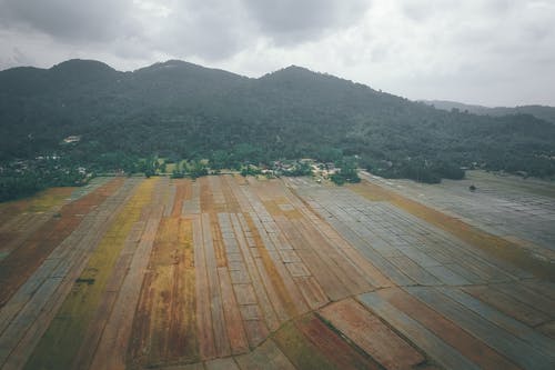 有关农艺学, 划船, 园艺的免费素材图片