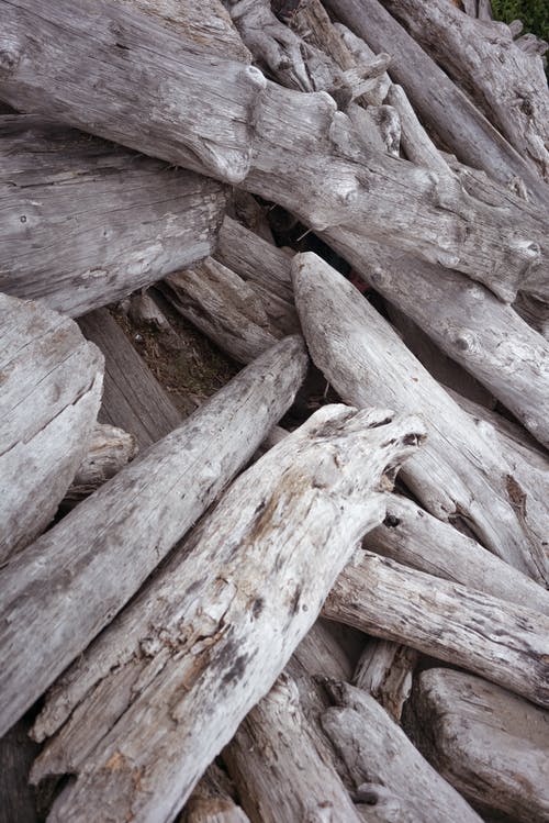 一堆干燥的陈年原木 · 免费素材图片