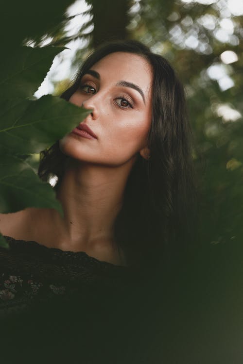 有关光鲜亮丽, 公园, 冷静的免费素材图片