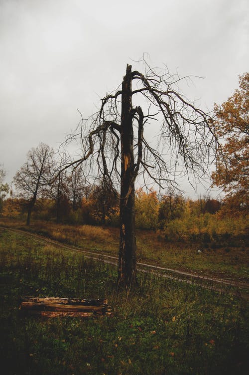 有关喜怒无常, 垂直拍摄, 坏心情的免费素材图片