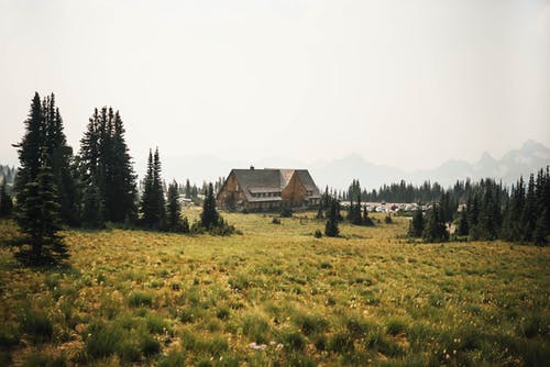 草地上的寂寞房子 · 免费素材图片