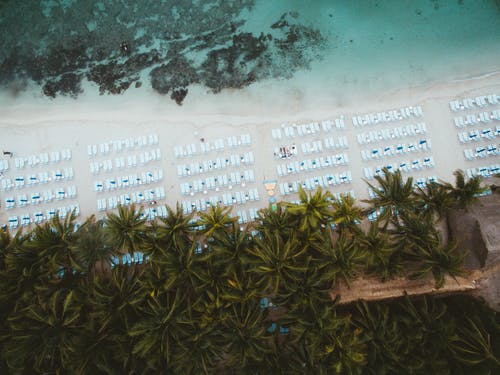 热带度假村，岸上有日光浴浴床 · 免费素材图片