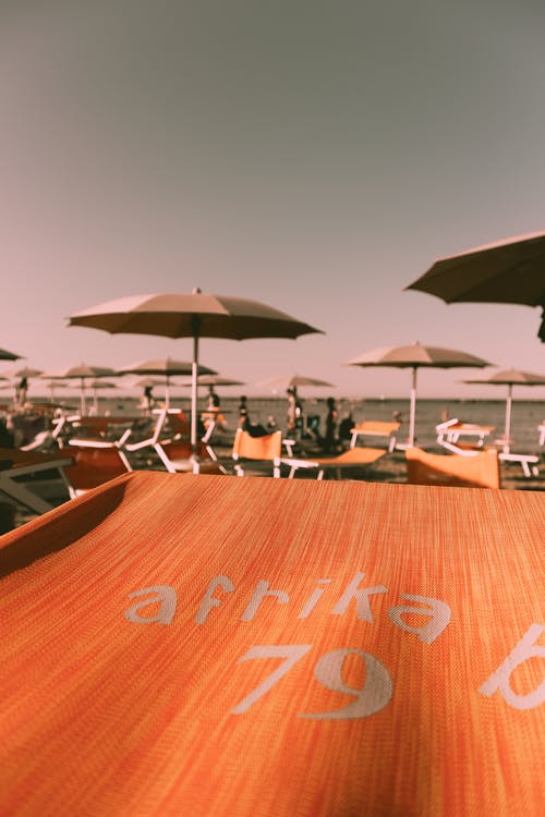 有关享受, 假日, 假期的免费素材图片