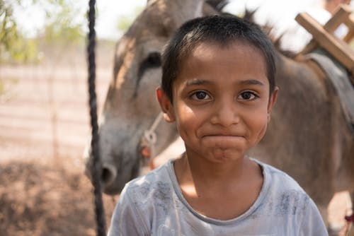 满意的民族男孩站在驴附近 · 免费素材图片