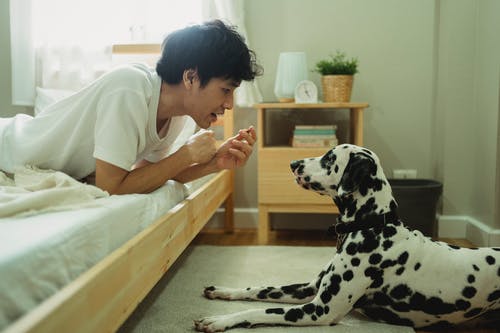 有关人, 家畜, 宠物的免费素材图片