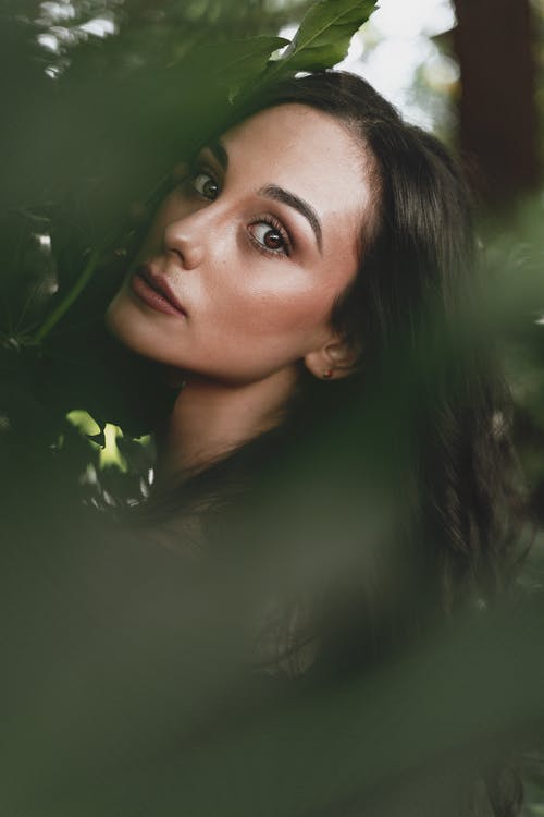 有关光鲜亮丽, 公园, 冷静的免费素材图片